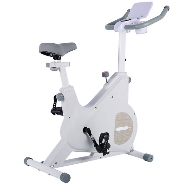 Cardio Fitness Training Adjustable Resistance Exercise Spinning Bike for Home Gym